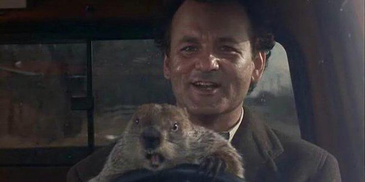 Bill Murray in compagnia della marmotta Punxsutawney Phil nel film cult 'Ricomincio da capo' (fonte Youtube /Columbia Pictures)