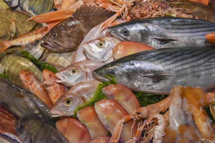 Food: Eataly Roma, arriva il 'crudo sostenibile' con i sapori del mare
