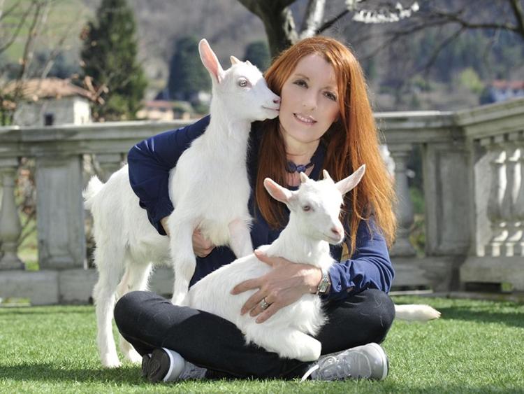 Animali: 'Scegli una Pasqua veg', campagna contro macellazione cuccioli