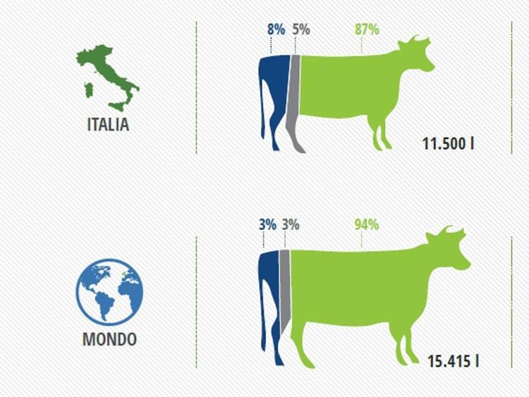 fonte: Mekonnen, M.M., Hoekstra, A.Y. The Green, Blue and Grey Water Footprint of Farm Animals and Animal Products. Value of Water Research Report Series n. 48, Unesco-Ihe, Delft, the Netherlands, 2010