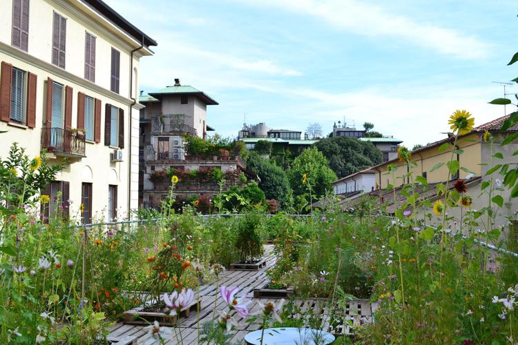 Milano: tre giorni di verde urbano e condiviso, torna 'Green City'