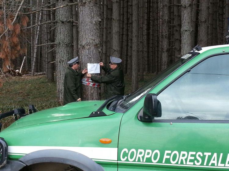 Cosenza: indagati dirigenti Calabria Verde, Corpo forestale sequestra 1.300 ettari bosco /Video