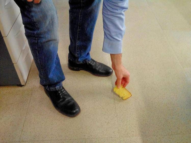 cibo caduto pavimento