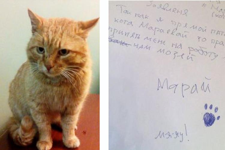 Il gatto con il contratto redatto per scherzo. Foto dal sito del museo Serphukov