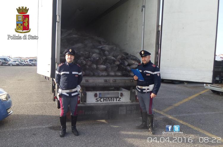 Roma: polstrada blocca tir illegali, a bordo 23 quintali tonno e 1600 colombi