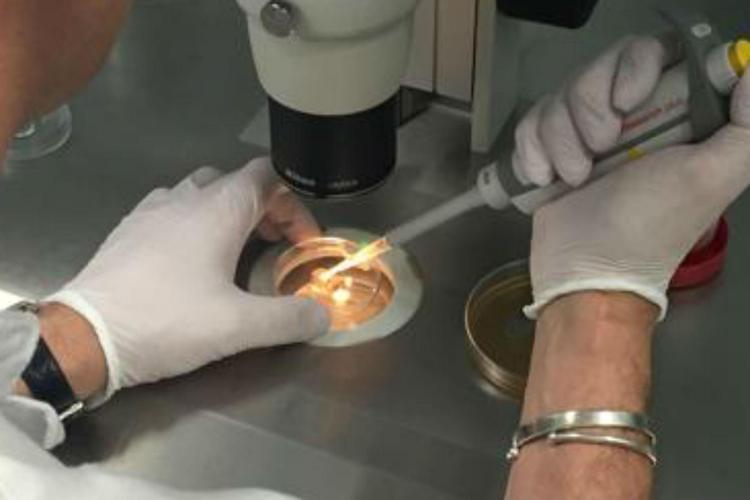 Feconda 50 pazienti ignare con il suo seme, ginecologo Usa a processo
