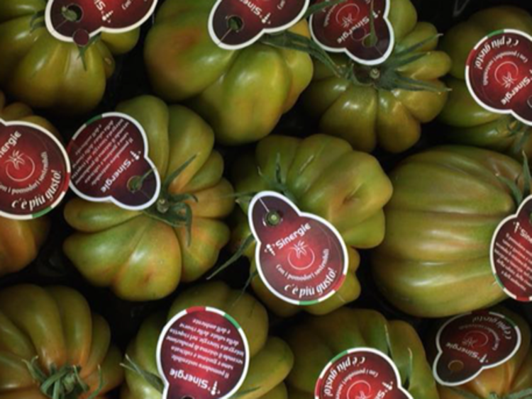 Alimenti: Sinergie il marchio di sostenibilità del pomodoro siciliano