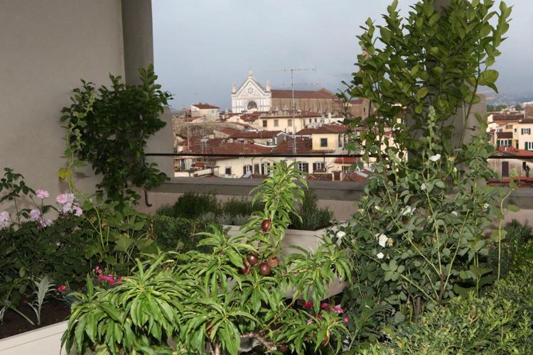 Firenze: giardino pensile a Palazzo Vecchio rievoca reggia Medici
