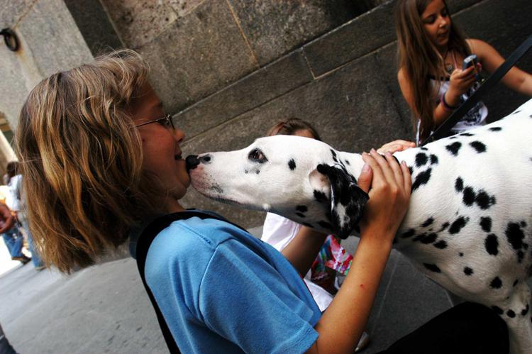 I cani possono diventare maestri di empatia (foto: Fotogramma)