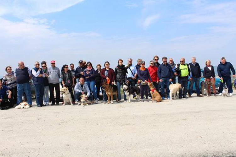 'La carica dei 500&1', primo raduno mondiale di Vespa e 500 con cani a bordo /Foto