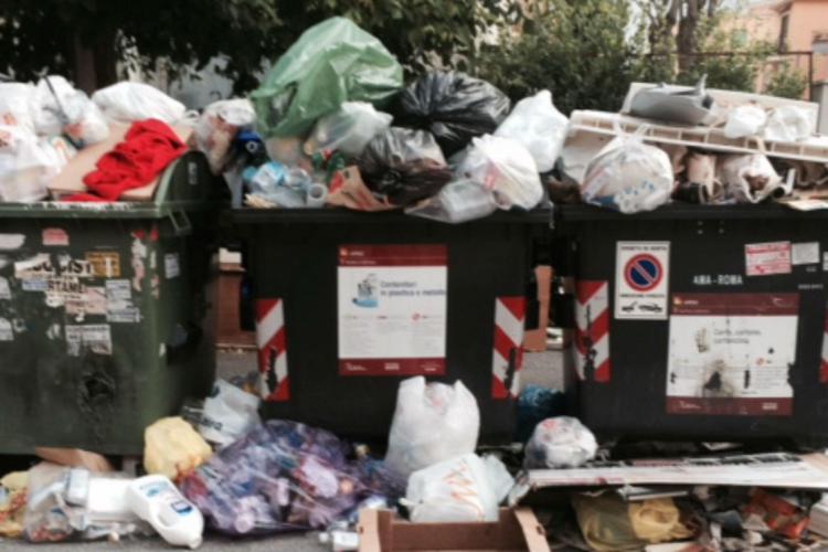 E' scontro sui rifiuti di Roma