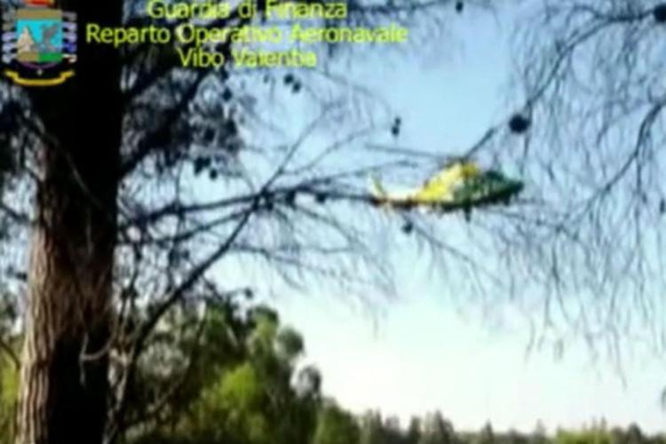 Crotone, elicottero Gdf scopre due piantagioni marijuana /Video