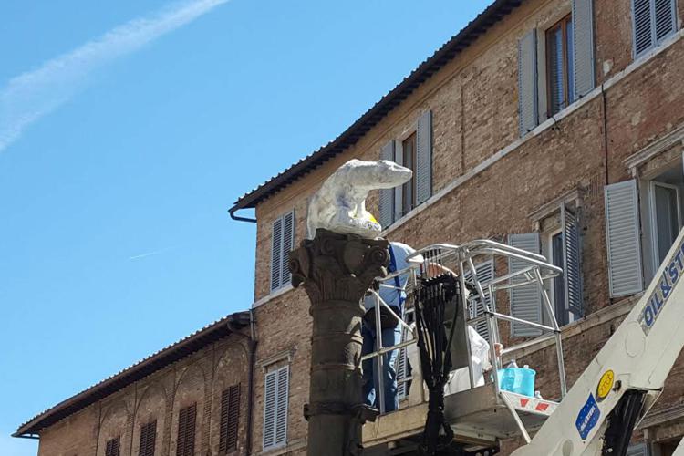 Siena, restaurata a tempo di record la Lupa al Ponte di Romana