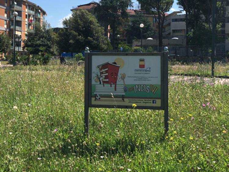 Napoli: GreenCare 2016, premiate aree verdi di Ponticelli, Montesanto e Cicciano