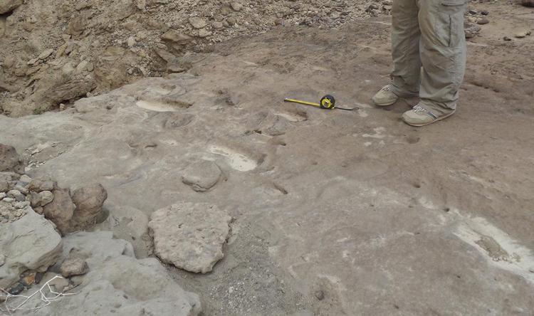 Scoperte in Eritrea impronte umane fossili di 800mila anni fa