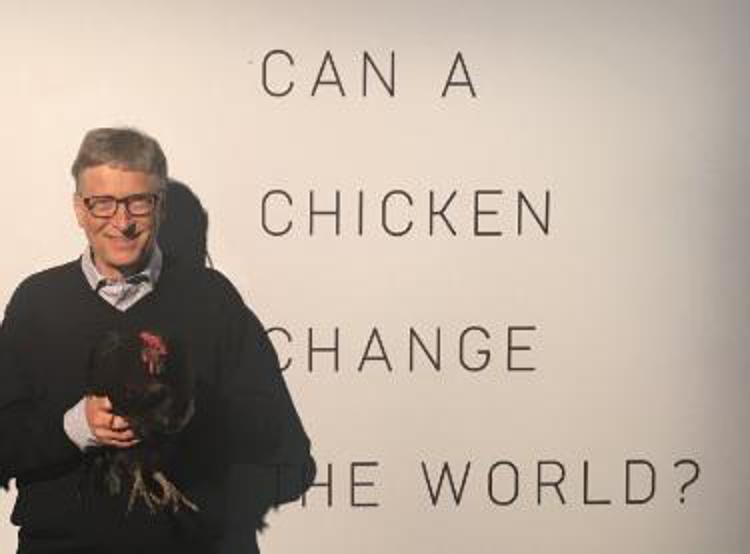 Nella foto Bill Gates (Dal suo profilo Twitter)