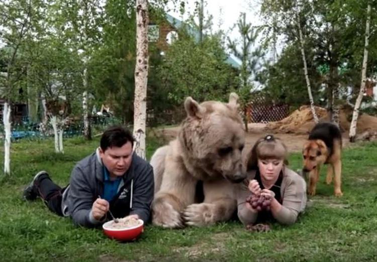 Stepan e famiglia  (Youtube /Animal Animal)