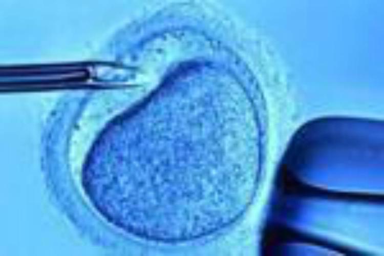 L'84% delle coppie italiane donerebbe embrioni alla ricerca