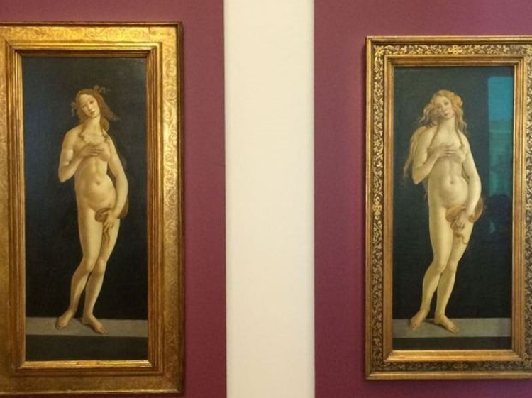 Le due Veneri di Botticelli a confronto negli spazi dei Musei Reali di Torino