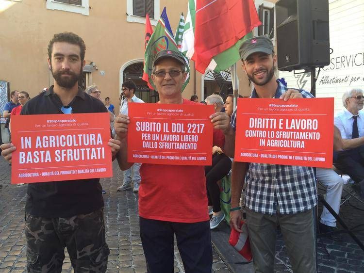 Caporalato, Senato assicura ok ddl entro luglio. Pressing dei sindacati