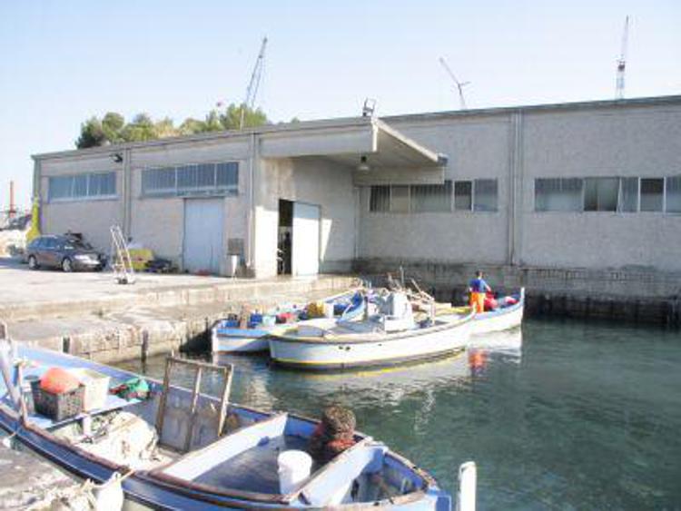 Pesca: Coldiretti Lazio, con fermo biologico occhio a inganni