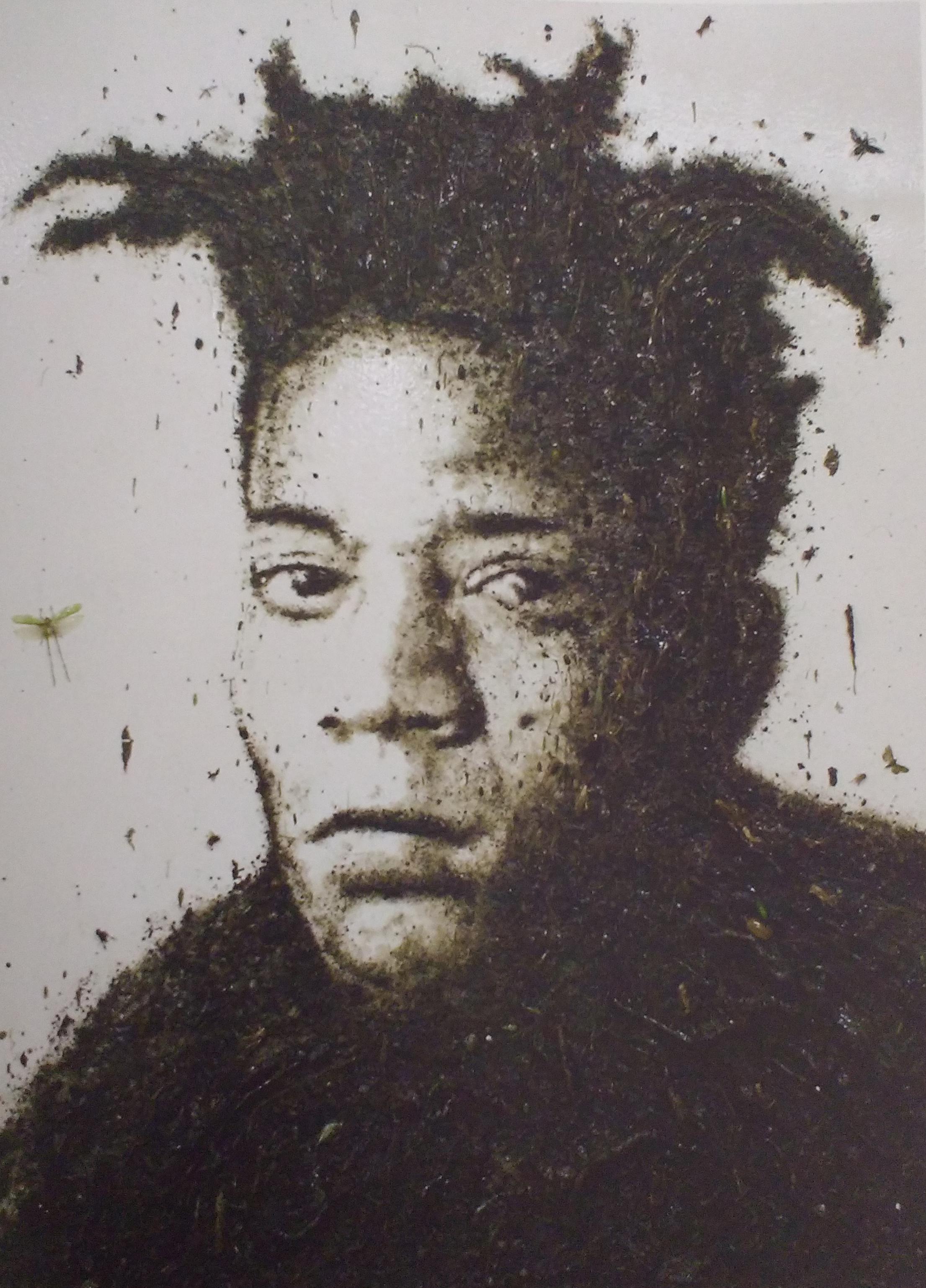 Jm Basquiat