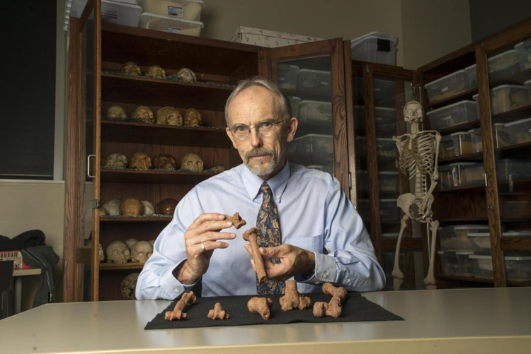 John Kappelman  con lo scheletro di Lucy stampato in 3D - Marsha Miller