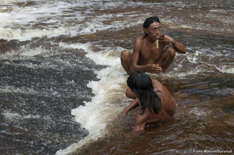 Brasile: Giornata Onu dei popoli indigeni, i Kawahiva a rischio estinzione