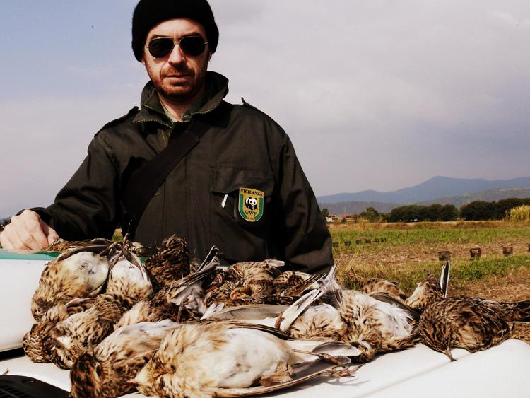 Italia 'trappola' per 8 milioni di uccelli l'anno, il bracconaggio non risparmia le specie protette