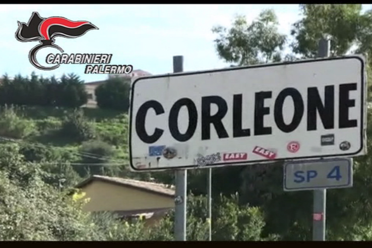 (Fermo immagine dal video dei Carabinieri)