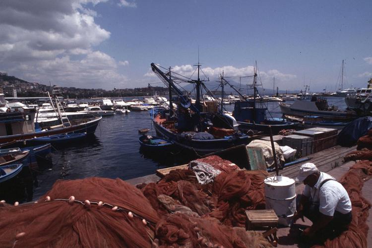 Contratti: ok a rinnovo coop pesca, +2% annuo per salari fermi da 2010