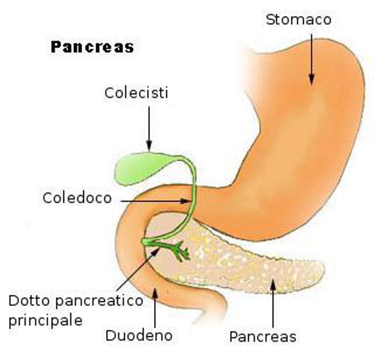 Farmaci: via libera Ue ad anti-cancro pancreas Shire