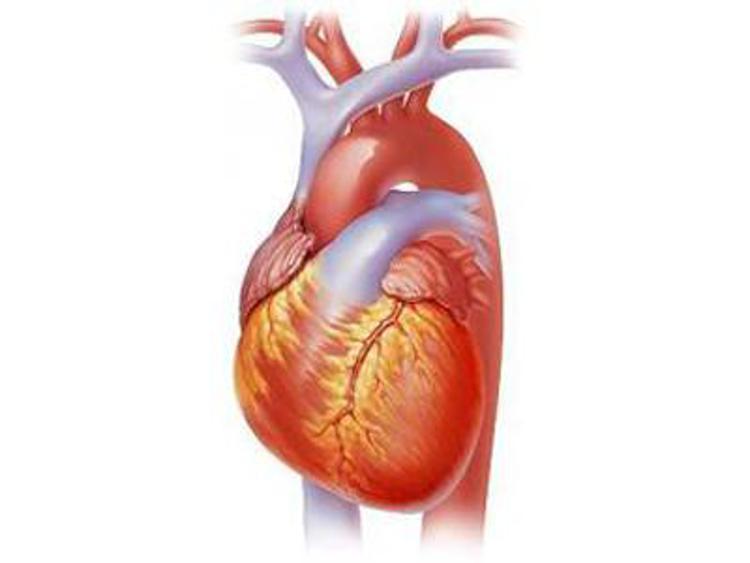 Medicina: oltre 1 mln di italiani con scompenso cardiaco