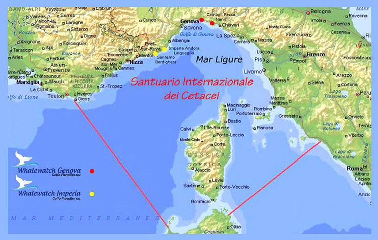 Mare: comuni costieri genovesi insieme per il  Santuario Pelagos