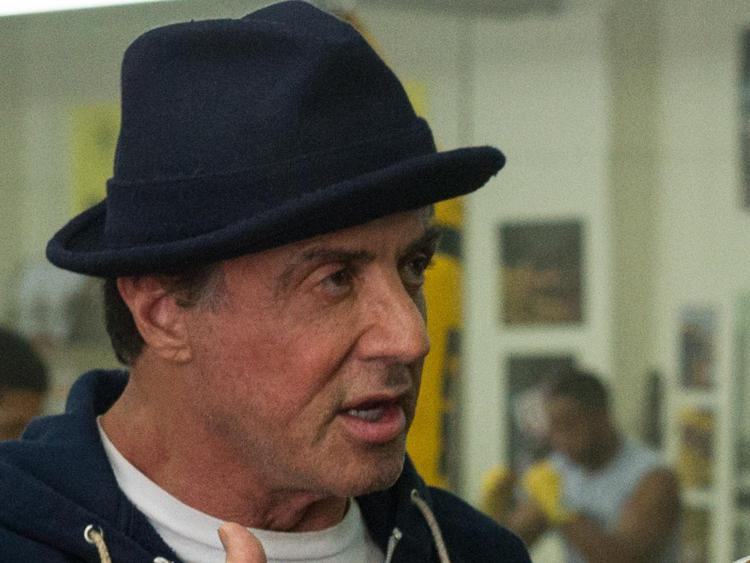 Sylvester Stallone in <span id=