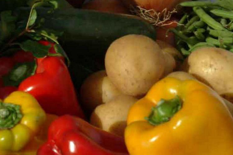 Alimenti, Bellanova: 'Prioritario garantire cibo sano e sicuro a bimbi'