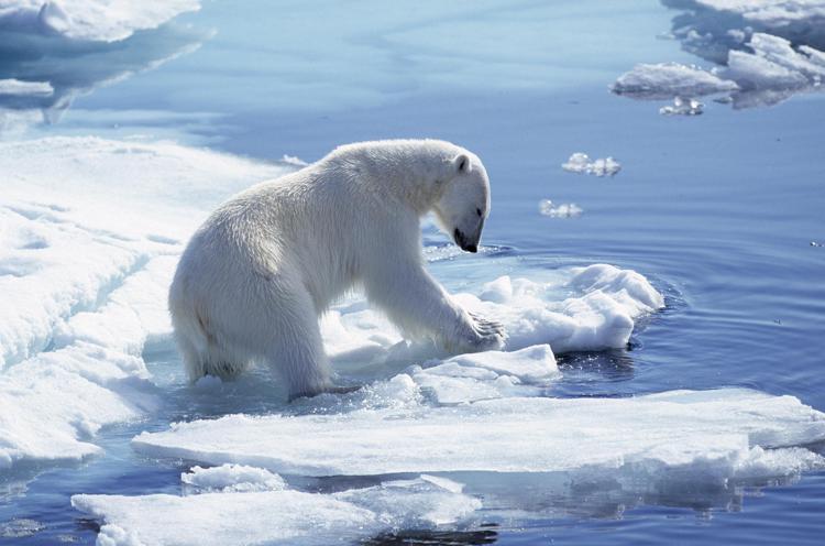 Ambiente: Artico, accordo internazionale di protezione dalla pesca