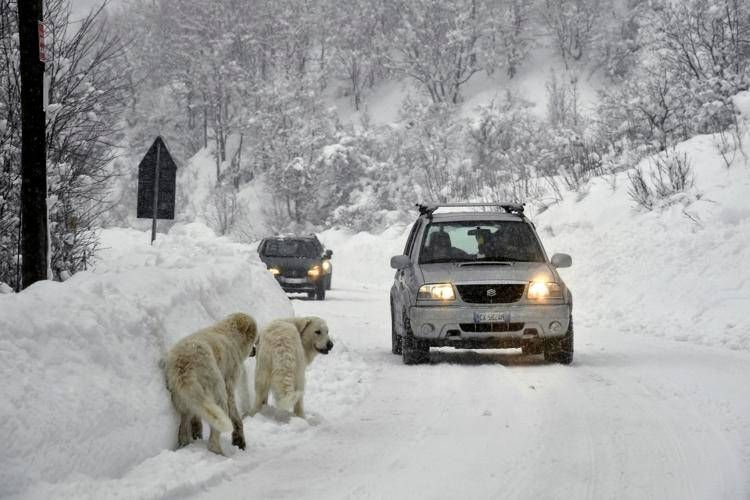 (AFP PHOTO) - (AFP PHOTO)