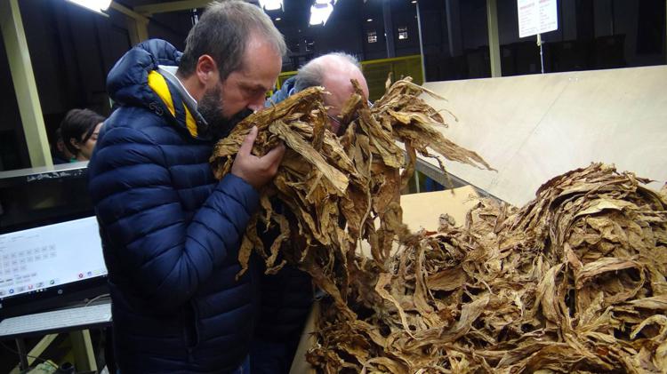 Tabacco: Ont diventa la più grande Op italiana con 60 mln fatturato