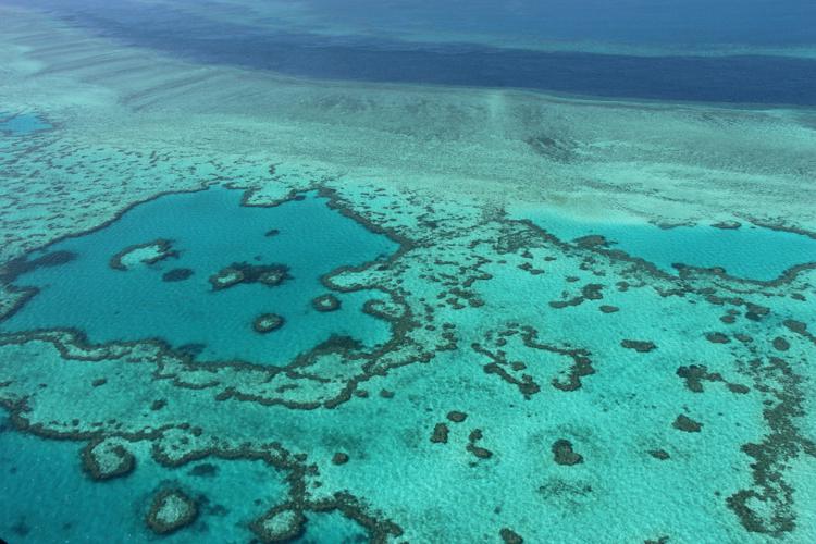 La 'Great Barrier Reef' sulla costa del Queensland, Australia (AFP PHOTO) - (AFP PHOTO)