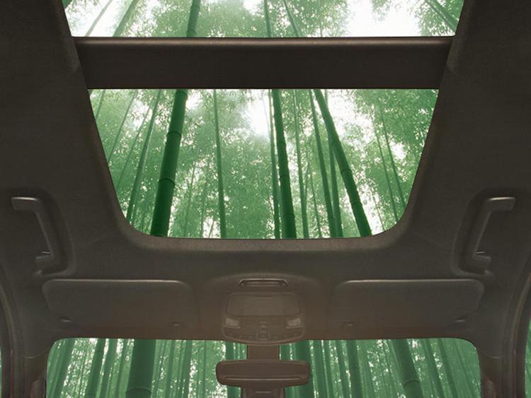 Ford: dopo agave, test anche su bambù per componenti interni auto