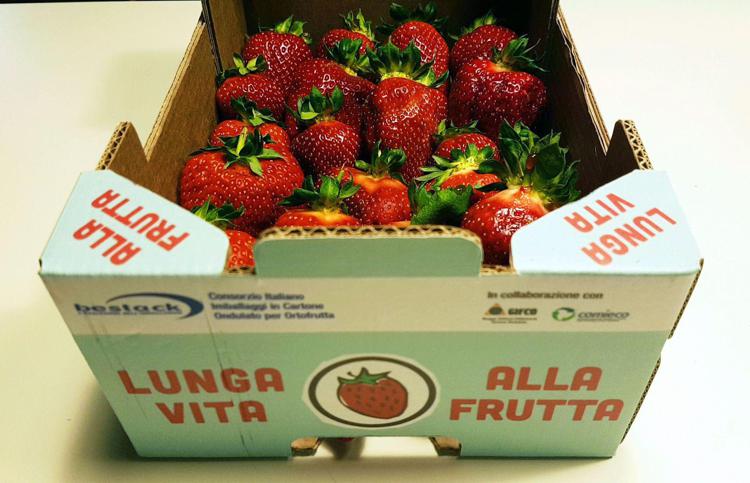Alimenti: arriva il packaging che allunga la vita delle fragole