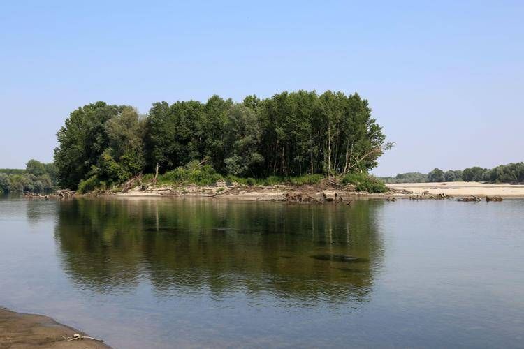 Ambiente Alieno 1 Pesce D Acqua Dolce Su 2 1 Mammifero Su 8