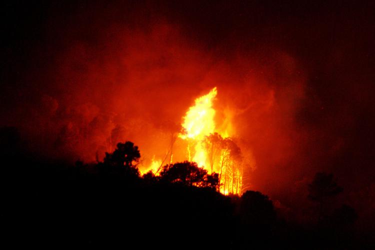 Incendi: Brizzi (Conapo), vigili fuoco insufficienti e sistema da rivedere