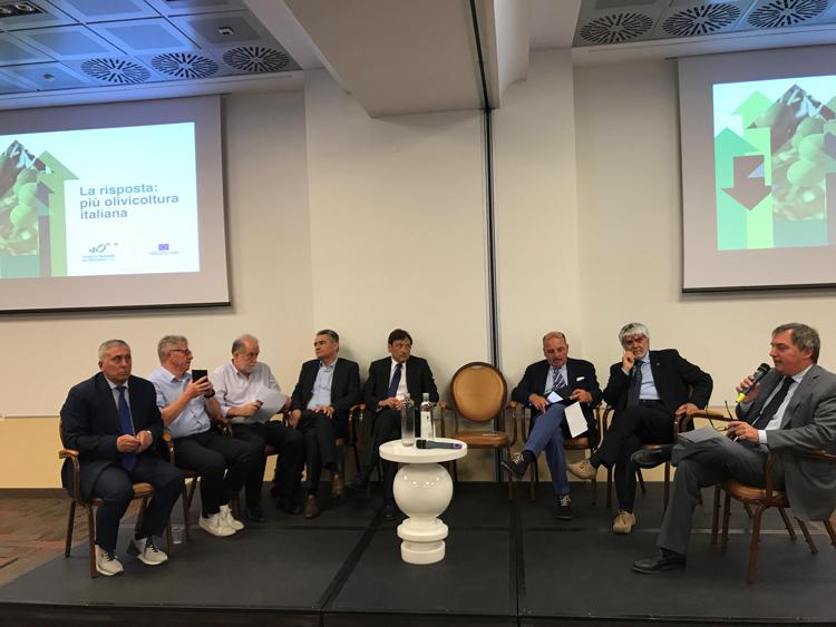 Olio: Consorzio olivicoltori, Italia per prima volta giù da podio produzione mondiale