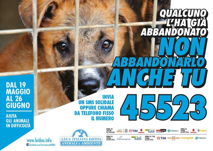 Animali: Brambilla lancia 'SalvaMiSubito', campagna sms anti-randagismo