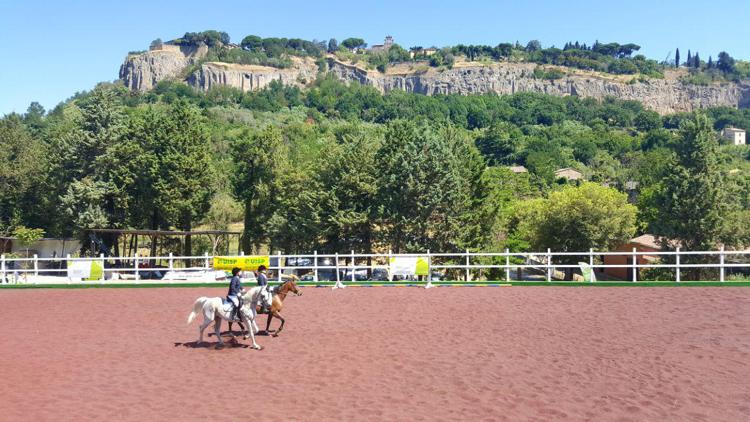 Sostenibilità: a Orvieto struttura per cavalli in gomma riciclata