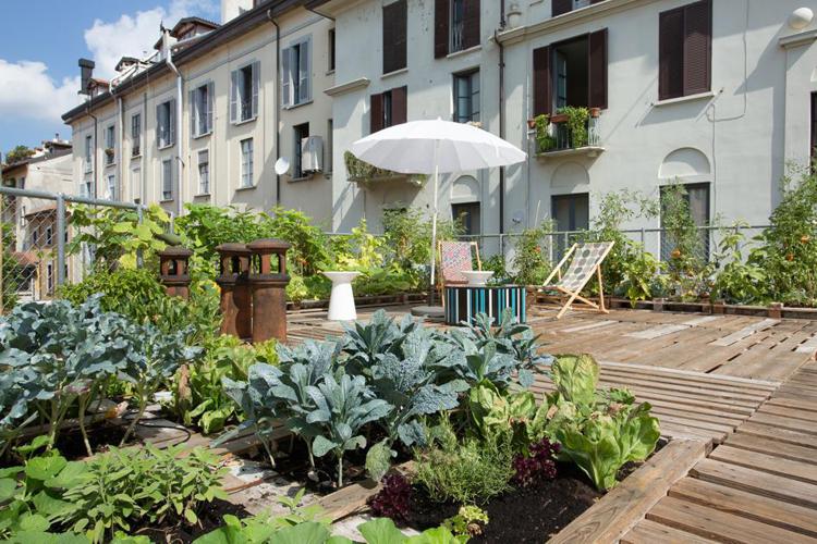 Milano: tetti nuovi luoghi 'cult', con Piuarch arriva l'orto in quota