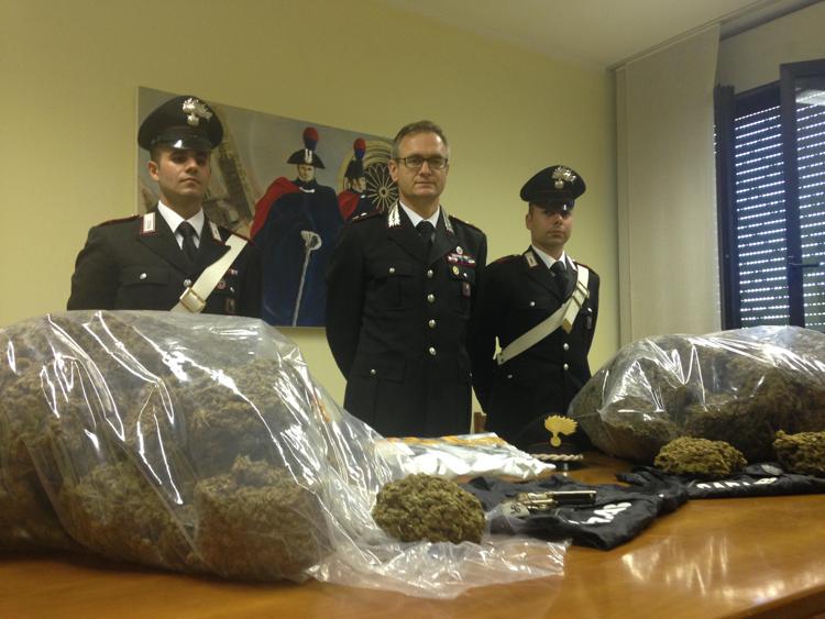 Cremona, carabinieri sequestrano 38 chili di marijuana, un denunciato