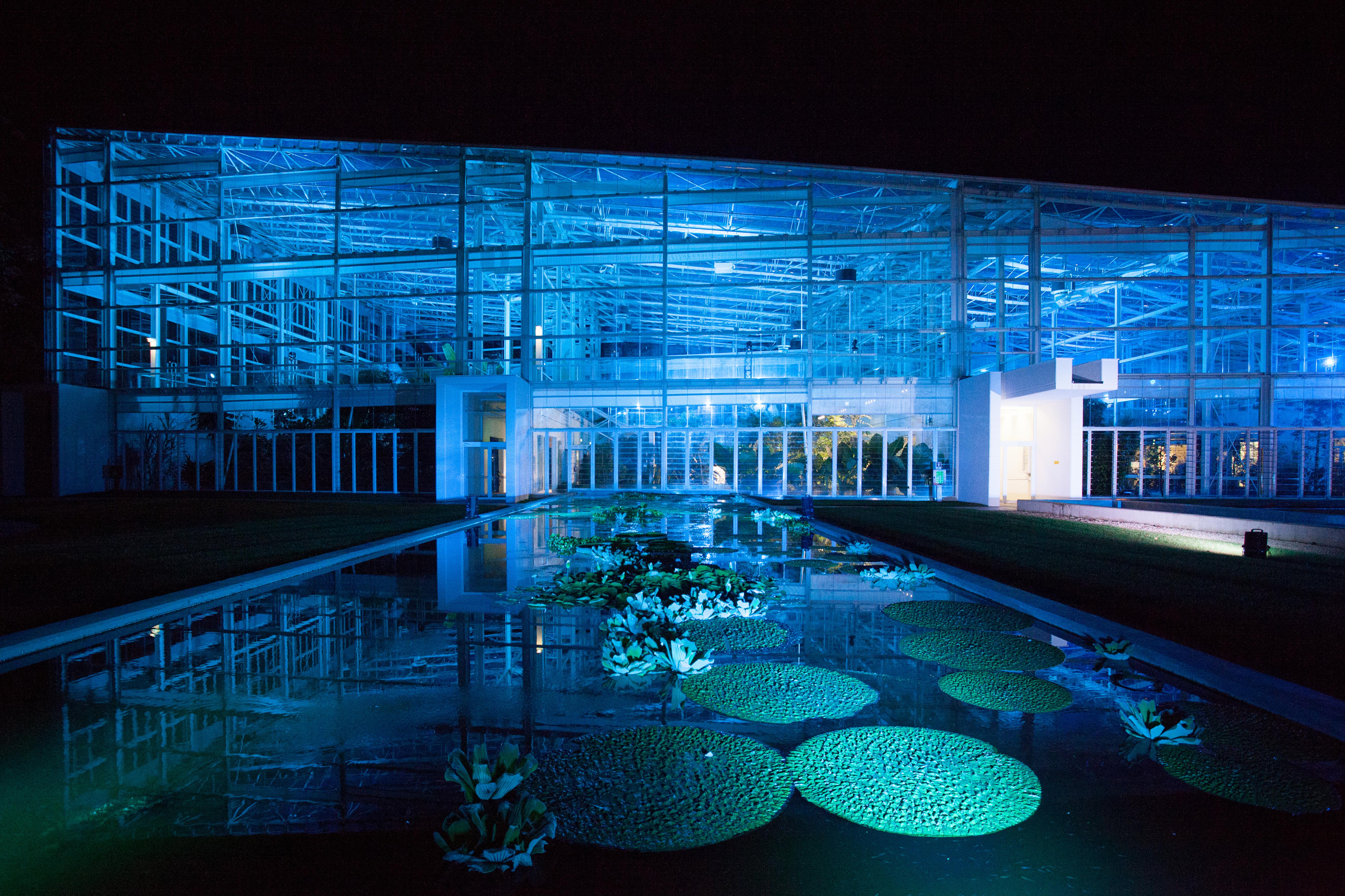 Il Giardino della Biodiversità (notturno) (CREDIT: Massimo Pistore)